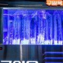 구일육 이미지