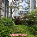 래미안라센트공인중개사사무소 이미지