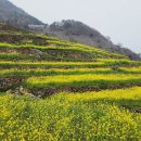 남해-277 Daum카페