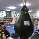 SB 복싱클럽 이미지