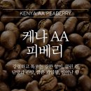 알트로