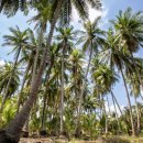 성의 농장 이미지