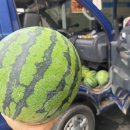 미래카센터 이미지