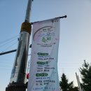 에이치디현대오일뱅크-직영구리 | 2024 구리한강시민공원 코스모스 개화, 축제 라인업, 주차 꿀팁(?), 비추 후기