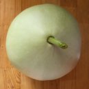식용박 교환해주세요. 이미지