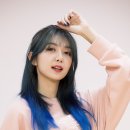 다미 이미지