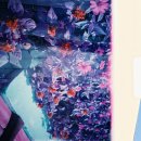 차와 함께 일상으로의 여행 이미지