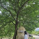 팔공산글램핑 이미지