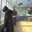 농촌문화체험민박 이미지