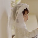 티니 이미지