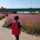 핑크부동산중개사무소 이미지