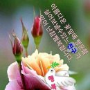 행복한시간 이미지
