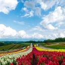 한일타운(아) 제2 이미지