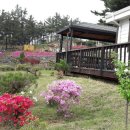 탑정호예가펜션 이미지