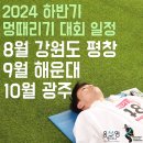 졸리멍 | 평창 멍때리기 대회 후기 상금 우승자 신청 꿀팁