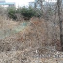 경운목장 이미지