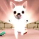 고양이천국 이미지