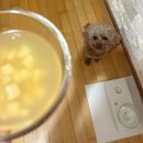 개금역 4번 출구 | [부산 개금 가야 맛집] 지호한방삼계탕 개금역점