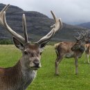 허한의원 이미지