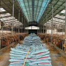 비례농장 이미지