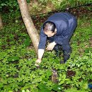 김진규농장 이미지