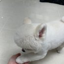 다니엘 동물병원 이미지