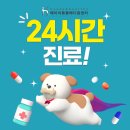 에이치동물메디컬센터 네이버블로그