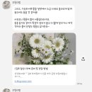 [브릴리엠부케말리기] 김포/마송/부케/부케말리기/선물/제작후기