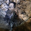 광천마트 | 평창 동굴 광천선굴 어드벤처 테마파크 입장료 주차 겨울 박쥐