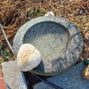 중현농장 이미지