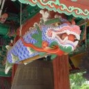 목어 Daum카페
