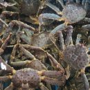 준이수산 이미지