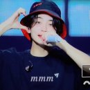 라이브콘서트여행