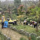 팔용산 테마공원 이미지