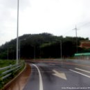 세포삼거리 이미지