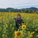 백제문화제 행사장 이미지