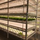 손해평가사 1차 - 재배학 및 원예작물학 이미지