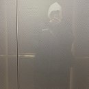 바이크크크 | 팔레트 디저트 두바이쫀득쿠키 두쫀쿠 토요일 오픈런 후기