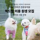 P&M 반려견교육센터 대전점 이미지