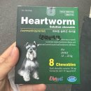 전남가축약품 | [임신일기]임신 26주차 일상_ 호수공원 정희, 유팡 중고거래, 강아지 약구매