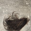 다비치안경사상초교옆점 | 수구리는 3월