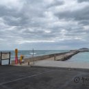 메가리조트제주 이미지