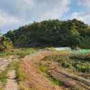 새누리농장 이미지