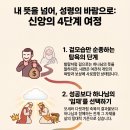 자유의지와 섭리 이미지