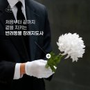 반려동물 이동서비스 이미지