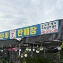 두구동 금정화훼단지 후기