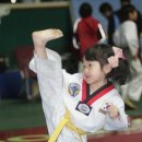 챔피언 태권도 이미지