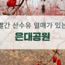 은대공원 이미지