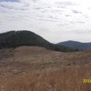 탑골목장 이미지