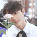 선우 Daum카페